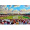 Tynecastle Park Stadium 'Yesteryear' Fine Art Print - Hearts FC
